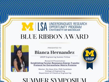 2021 Summer Blue Ribbon IG 